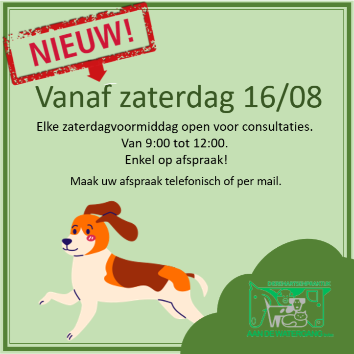 Fb-post_zaterdag_opening Dierenartsen Aan de Watergang - Blog / Nieuws