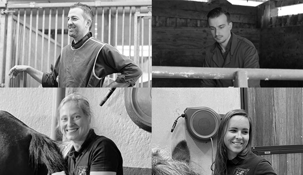 Ons professioneel team