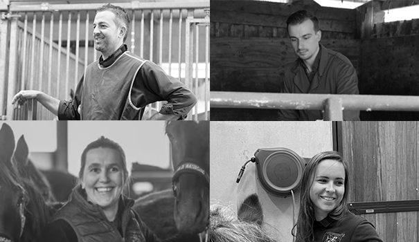 Ons professioneel team