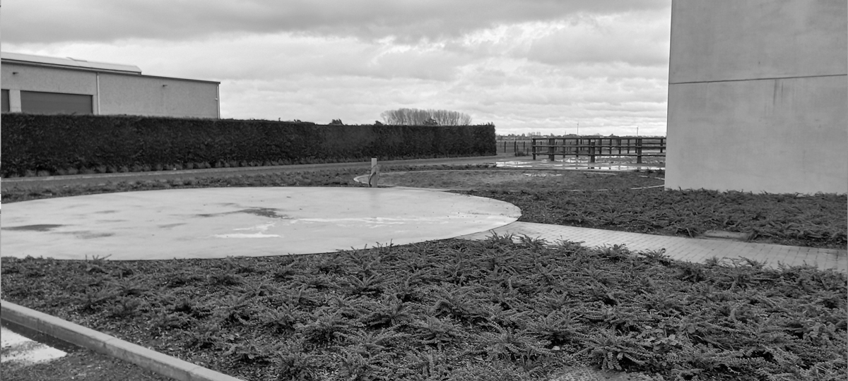 Foto loopweide