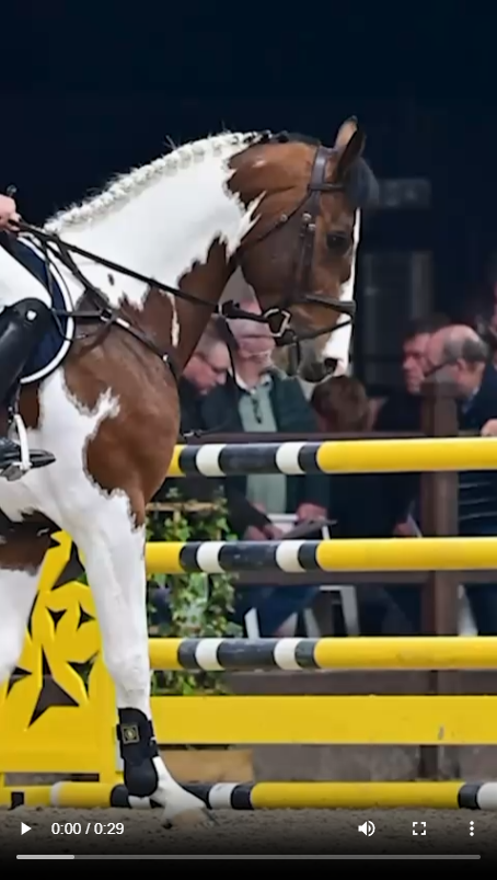 Video van Dancing Arthur